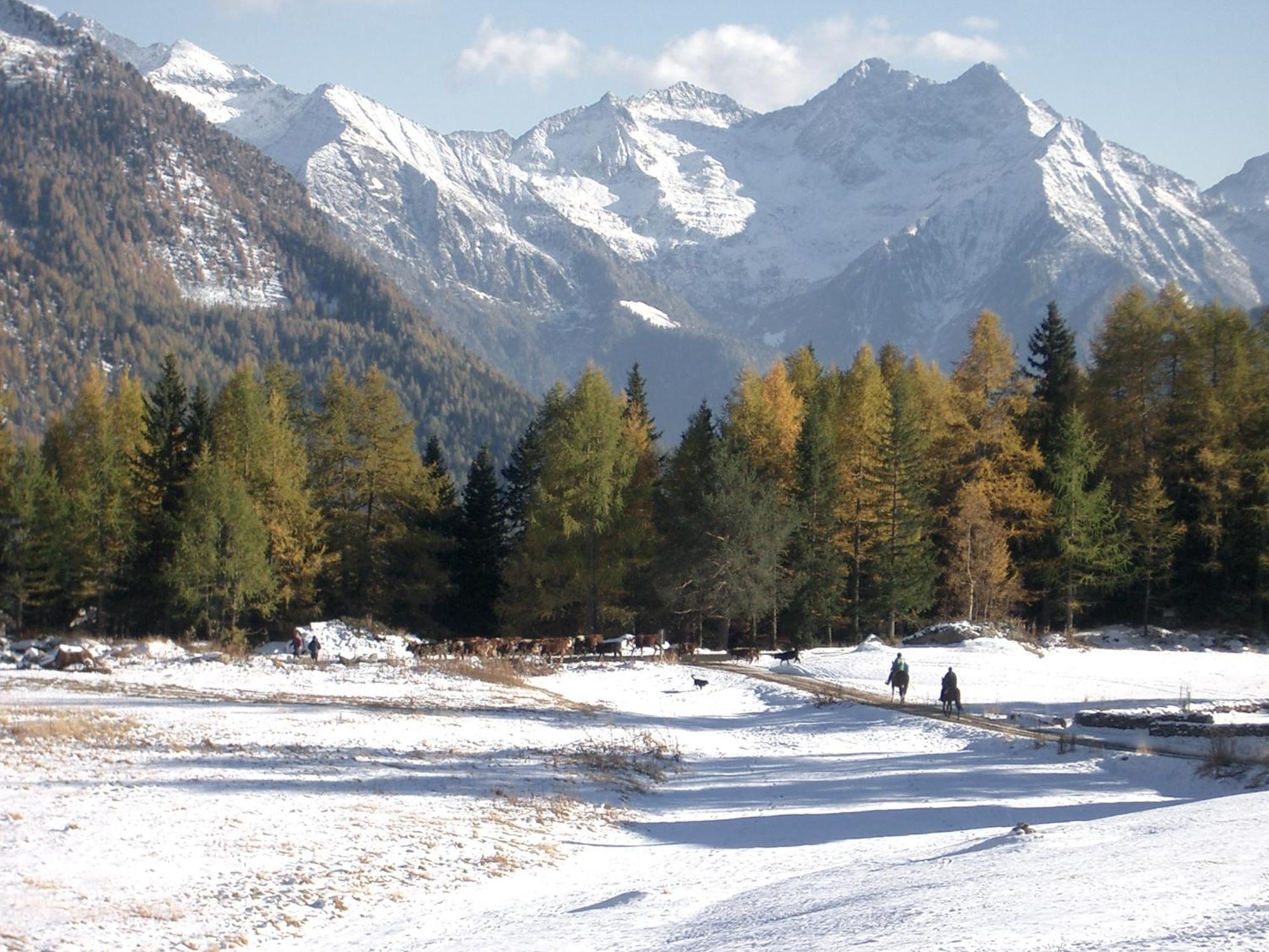 Le Vieux Rascard Chambres D'Hotes Champoluc Εξωτερικό φωτογραφία